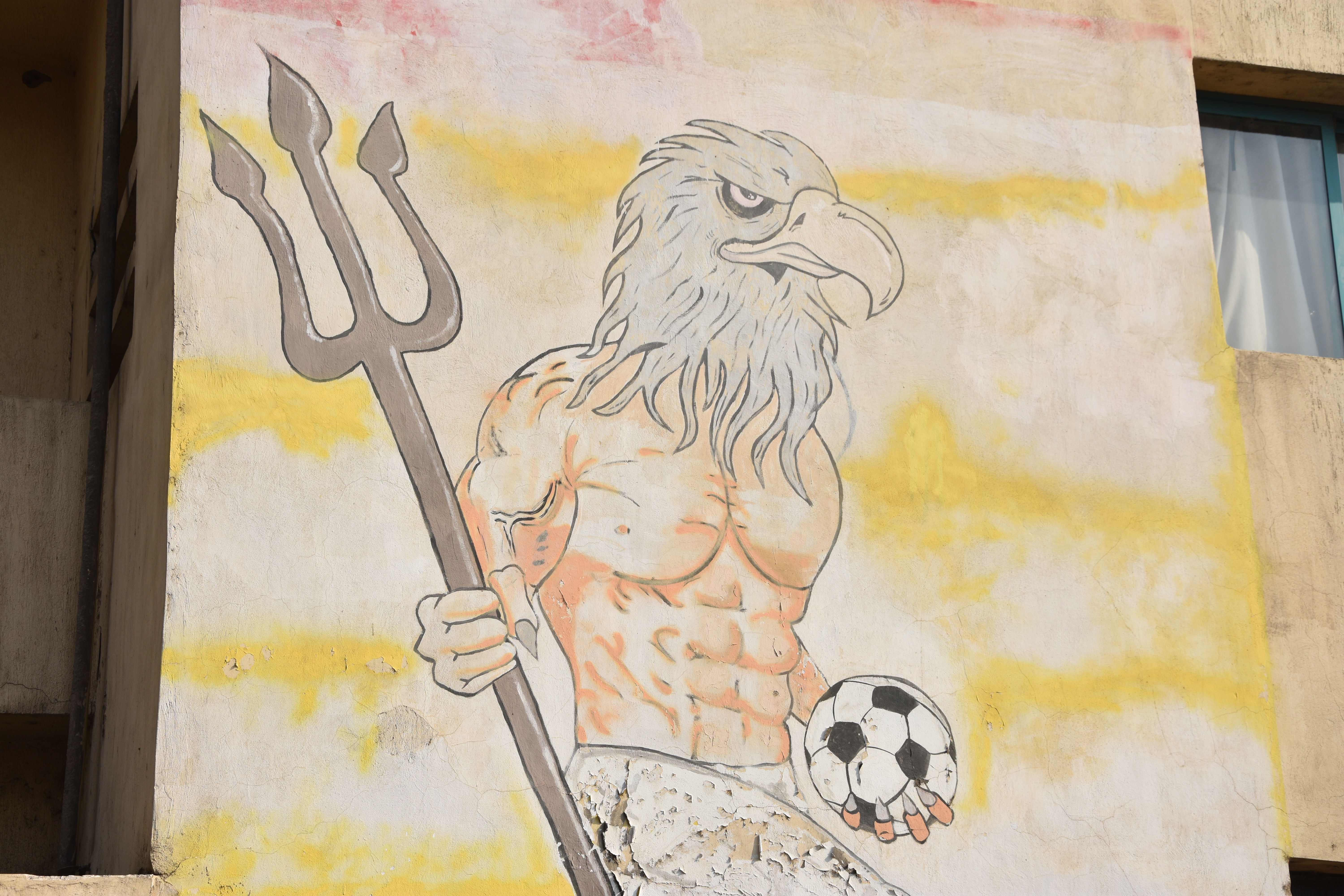 DSC_0052 traitéejpg