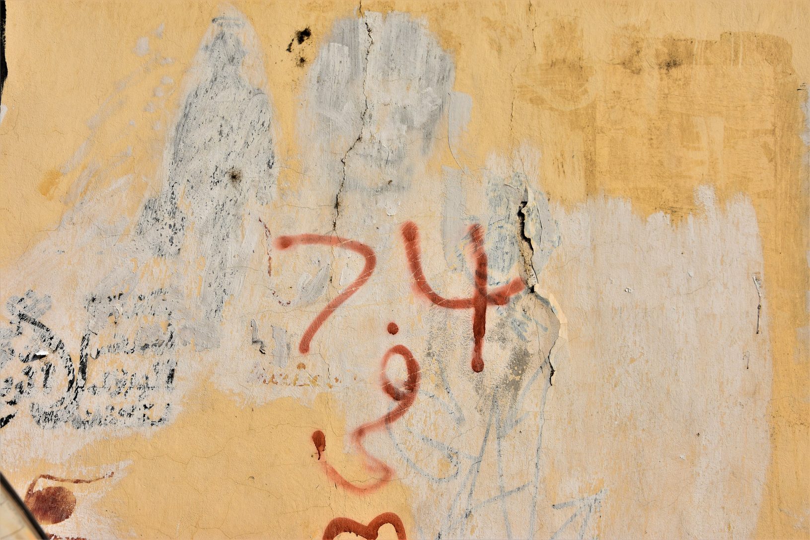 DSC_0064 traitéejpg